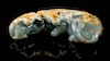 * A Carved Jade Composition of Oxen Width 4 3/4 inches.