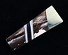 Wooly Mammoth Tusk & Mother of Pearl Money Clip