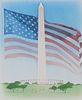 Jim Butcher (B 1944) American Flag over Washington