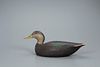 Outstanding Black Duck Decoy, The Ward Brothers