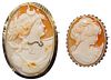 14k Gold Framed Carved Shell Cameo Pin / Pendant Assortment