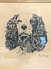SIGNED AND DATED FRAMED  DRAWING OF A SPANIEL PHILLIP DUNCAN 1934