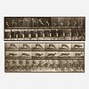 Eadweard Muybridge, Plates 158 and 681 from the Animal Locomotion series (two works)