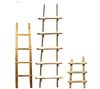 Group of South Western Ladders