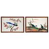 Two Chinese Export Gouache Paintings, 19th Century