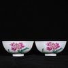 PAIR OF CHINESE FAMILLE ROSE INSECTS FOOTED BOWLS
