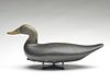 Large blackduck, attributed to a member of the Holly family, Havre de Grace, Maryland, last quarter 19th century.