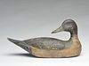 Very rare pintail drake in unusual beginning to preen pose, Mitchell LaFrance, New Orleans, Louisiana, 1st quarter 20th century.