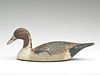 Early gunning model pintail drake, similar to the work of Jack Couret, New Orleans, Louisiana.