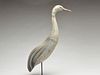 Large great grey heron, from New Jersey, 1st half 20th century.