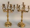 Pair of French bronze candelabras, six light, 19th century (electrified at one point), 23 1/2".
