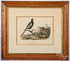 Two color bird lithographs