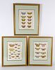 Set of 3 Antique French Handcolored Engravings of Butterflies