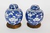 Pair of Petite Canton Covered Ginger Jars, 19th Century
