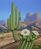 Chuck Ripper (B. 1929) "Carnegiea Gigantea Cactus"