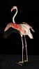 COMPLETE TAXIDERMY OF PINK FLAMINGO