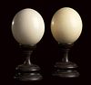 PAIR OF ANCIENT OSTRICH EGGS