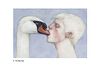 NICOLAS TOLMACHEV Ucraina, 1992<br><br>The Big Kiss<br>Giclee print on Hahnemühle Matt Fine Art, 21 x 30<br>Signed and example lower: N. Tolmachev, 4/