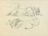 Wilhelm Lorenz<br><br>Lions, XX Century<br>Drawing in pencil on ivory-colored paper, 29.7 x 39.8 cm<br>Lions is a beautiful original drawing in pencil