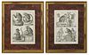 Bernard Direxit (French, 18th century), "Monkeys," two copper engravings, from his "Histoire Naturelle, Quadrupedes," presented in g...