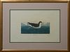 John James Audubon (1785-1851), "Dusky Petrel," No. 60, Plate 249, Amsterdam edition, presented in a wide gilt frame, H.- 19 7/8 in....