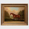 After William Shipley (1714-1803): Portrait of a Bay Horse