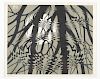 M.C. Escher, Linocut, Rippled Surface, black/gray