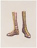 Ed Paschke
(American, 1939-2004)
Boots, 1972