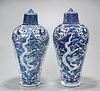 Two Chinese Blue and White Porcelain Covered Meiping Vases