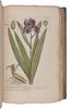 BLACKWELL, Elizabeth (d.1758). A Curious Herbal, containing Five Hundred Cuts of the most useful Plant which are now used in the Practice of Physick. 