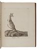 PENNANT, Thomas (1726-1798).  History of Quadrupeds. London: B. White, 1781.