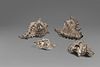 Lot of four shells covered in silver, the smallest signed Federico Buccellati