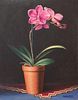 Brent Erickson, Home Depot Orchid