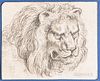Dutch or Flemish School, 17th Century      Head of  a Male Lion