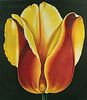 Lowell Nesbitt (American, 1933-1993)      Red and Yellow Tulip