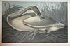 Audubon Trumpeter Swan Young by M. Bernard Loates