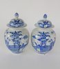 Pair Chinese Export Underglazed Blue and White Covered Ginger Jars, 19th c.