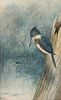 Gerard Rutgers Hardenbergh Watercolor Kingfisher 1903