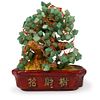 Chinese Jade Tree