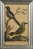 Pair of color bird engravings, after G. Edwards, early 19th c., 7 3/4'' x 4 1/2''.