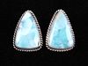 Navajo E. Kee Sterling Silver & Larimar Earrings