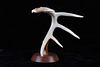 Mounted Hand Carved Eagle Antler Mid Century