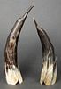 Carved Horn Penguin Sculptures, 2
