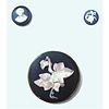 A Small Card Of 19Th Century Wedgwood Buttons