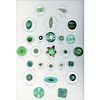 A Full Card Of Div 1 And 3 Green Glass Buttons