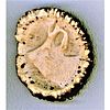 1 Division One Heavily Carved And Thick Antler Button