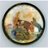 Oh My Another Wow Button. An 18Th Century Animal
