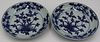 Pair of Chinese Blue and White Plates.
