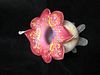A very pretty pink Jack in the pulpit hand painted  satin glass vase