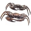 Pair of Japanese Bronze Crabs, Early 20th Century